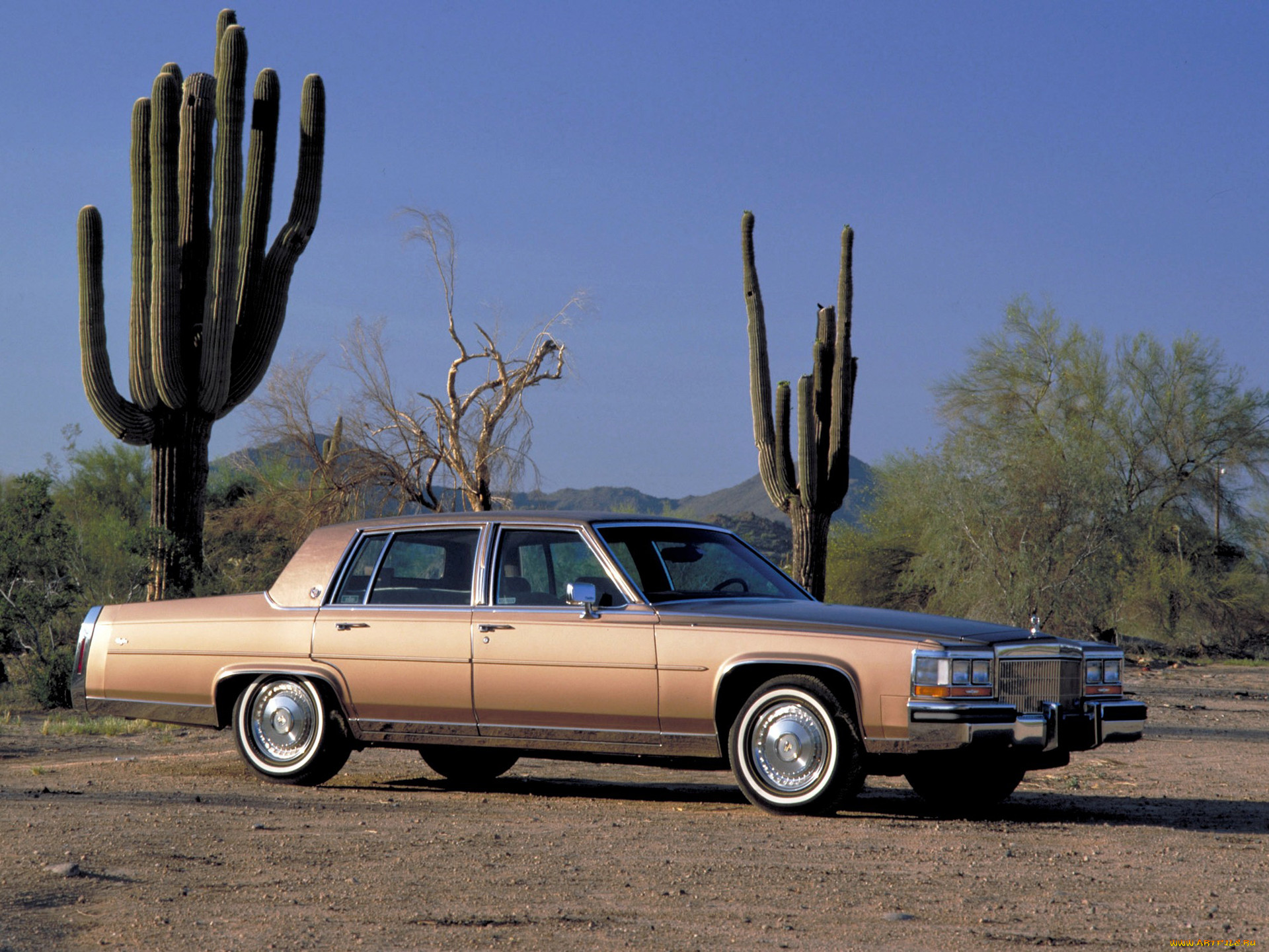 , cadillac